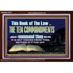 DO NOT IGNORE THE TEN COMMANDMENTS  Unique Power Bible Acrylic Frame  GWARK10373  "33X25"