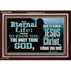 ETERNAL LIFE ONLY THROUGH CHRIST JESUS  Children Room  GWARK10396  "33X25"