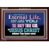 CHRIST JESUS THE ONLY WAY TO ETERNAL LIFE  Sanctuary Wall Acrylic Frame  GWARK10397  "33X25"