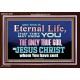 CHRIST JESUS THE ONLY WAY TO ETERNAL LIFE  Sanctuary Wall Acrylic Frame  GWARK10397  