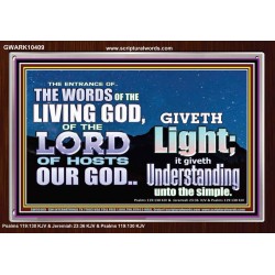 THE WORDS OF LIVING GOD GIVETH LIGHT  Unique Power Bible Acrylic Frame  GWARK10409  "33X25"