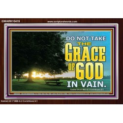 DO NOT TAKE THE GRACE OF GOD IN VAIN  Ultimate Power Acrylic Frame  GWARK10419  "33X25"