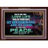 SEEK AND PURSUE PEACE  Biblical Paintings Acrylic Frame  GWARK10485B  "33X25"