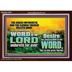 THE WORD OF THE LORD ENDURETH FOR EVER  Christian Wall Décor Acrylic Frame  GWARK10493  "33X25"