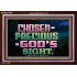 CHOSEN AND PRECIOUS IN THE SIGHT OF GOD  Modern Christian Wall Décor Acrylic Frame  GWARK10494  "33X25"