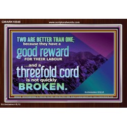 TWO ARE BETTER THAN ONE  Contemporary Christian Wall Art Acrylic Frame  GWARK10548  "33X25"