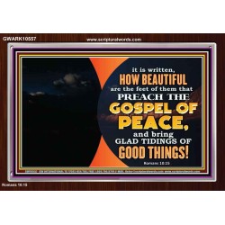 THE FEET OF THOSE WHO PREACH THE GOOD NEWS  Christian Quote Acrylic Frame  GWARK10557  "33X25"