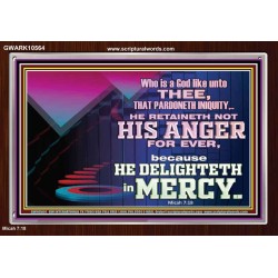 THE LORD DELIGHTETH IN MERCY  Contemporary Christian Wall Art Acrylic Frame  GWARK10564  "33X25"