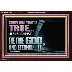 JESUS CHRIST THE TRUE GOD AND ETERNAL LIFE  Christian Wall Art  GWARK10581  "33X25"