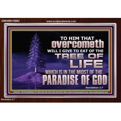 HE THAT OVERCOMETH  Bible Verse Acrylic Frame  GWARK10583  "33X25"