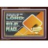 GO OUT WITH JOY AND BE LED FORTH WITH PEACE  Custom Inspiration Bible Verse Acrylic Frame  GWARK10617  "33X25"