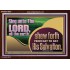 TESTIFY OF HIS SALVATION DAILY  Unique Power Bible Acrylic Frame  GWARK10664  "33X25"