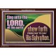 TESTIFY OF HIS SALVATION DAILY  Unique Power Bible Acrylic Frame  GWARK10664  