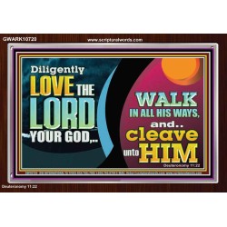 DILIGENTLY LOVE THE LORD WALK IN ALL HIS WAYS  Unique Scriptural Acrylic Frame  GWARK10720  "33X25"