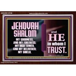 JEHOVAH SHALOM OUR GOODNESS FORTRESS HIGH TOWER DELIVERER AND SHIELD  Encouraging Bible Verse Acrylic Frame  GWARK10749  "33X25"