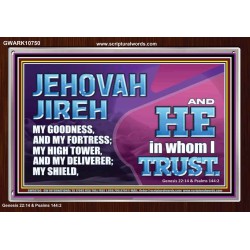 JEHOVAH JIREH OUR GOODNESS FORTRESS HIGH TOWER DELIVERER AND SHIELD  Encouraging Bible Verses Acrylic Frame  GWARK10750  "33X25"