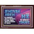 JEHOVAH JIREH OUR GOODNESS FORTRESS HIGH TOWER DELIVERER AND SHIELD  Encouraging Bible Verses Acrylic Frame  GWARK10750  "33X25"