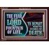 THE FEAR OF THE LORD IS A FOUNTAIN OF LIFE TO DEPART FROM THE SNARES OF DEATH  Scriptural Portrait Acrylic Frame  GWARK10770  "33X25"