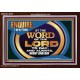 THE WORD OF THE LORD IS FOREVER SETTLED  Ultimate Inspirational Wall Art Acrylic Frame  GWARK12035  