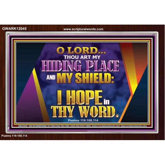 THOU ART MY HIDING PLACE AND SHIELD  Bible Verses Wall Art Acrylic Frame  GWARK12045  