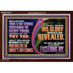 THINK IT NOT STRANGE CONCERNING THE FIERY TRIAL WHICH IS TO TRY YOU  Modern Christian Wall Décor Acrylic Frame  GWARK12071  "33X25"