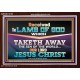 RECEIVED THE LAMB OF GOD OUR LORD JESUS CHRIST  Art & Décor Acrylic Frame  GWARK12153  