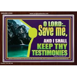 SAVE ME AND I SHALL KEEP THY TESTIMONIES  Inspirational Bible Verses Acrylic Frame  GWARK12163  