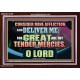 GREAT ARE THY TENDER MERCIES O LORD  Unique Scriptural Picture  GWARK12180  