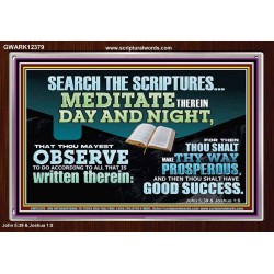 SEARCH THE SCRIPTURES MEDITATE THEREIN DAY AND NIGHT  Unique Power Bible Acrylic Frame  GWARK12379  