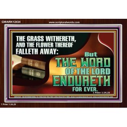 THE WORD OF THE LORD ENDURETH FOR EVER  Sanctuary Wall Acrylic Frame  GWARK12434  "33X25"