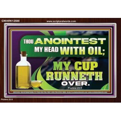 MY CUP RUNNETH OVER  Unique Power Bible Acrylic Frame  GWARK12588  "33X25"