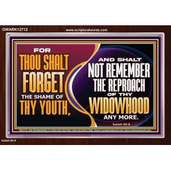 THOU SHALT FORGET THE SHAME OF THY YOUTH  Encouraging Bible Verse Acrylic Frame  GWARK12712  "33X25"