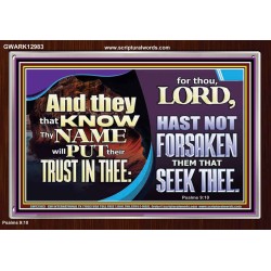 THEY THAT KNOW THY NAME WILL NOT BE FORSAKEN  Biblical Art Glass Acrylic Frame  GWARK12983  "33X25"