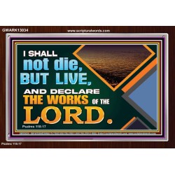 I SHALL NOT DIE BUT LIVE AND DECLARE THE WORKS OF THE LORD  Eternal Power Acrylic Frame  GWARK13034  "33X25"