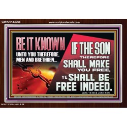 IF THE SON THEREFORE SHALL MAKE YOU FREE  Ultimate Inspirational Wall Art Acrylic Frame  GWARK13066  "33X25"