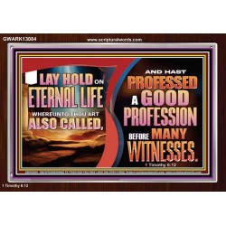 LAY HOLD ON ETERNAL LIFE WHEREUNTO THOU ART ALSO CALLED  Ultimate Inspirational Wall Art Acrylic Frame  GWARK13084  "33X25"