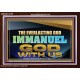 EVERLASTING GOD IMMANUEL..GOD WITH US  Contemporary Christian Wall Art Acrylic Frame  GWARK13105  