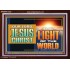 OUR LORD JESUS CHRIST THE LIGHT OF THE WORLD  Bible Verse Wall Art Acrylic Frame  GWARK13122  "33X25"