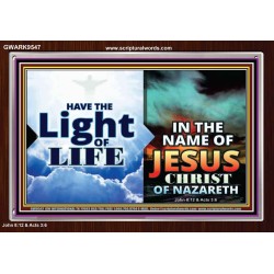 HAVE THE LIGHT OF LIFE  Sanctuary Wall Acrylic Frame  GWARK9547  "33X25"
