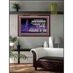 HE THAT OVERCOMETH  Bible Verse Acrylic Frame  GWARK10583  "33X25"