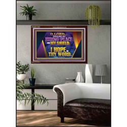 THOU ART MY HIDING PLACE AND SHIELD  Bible Verses Wall Art Acrylic Frame  GWARK12045  "33X25"