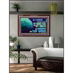 THOU ART MY HIDING PLACE AND SHIELD  Large Custom Acrylic Frame   GWARK12159  "33X25"