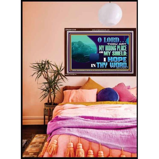 THOU ART MY HIDING PLACE AND SHIELD  Large Custom Acrylic Frame   GWARK12159  