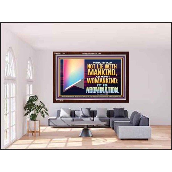 THOU SHALT NOT LIE WITH MANKIND AS WITH WOMANKIND IT IS ABOMINATION  Bible Verse for Home Acrylic Frame  GWARK12169  