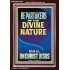 BE PARTAKERS OF THE DIVINE NATURE THAT IS ON CHRIST JESUS  Church Picture  GWARK12422  "25x33"