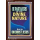 BE PARTAKERS OF THE DIVINE NATURE THAT IS ON CHRIST JESUS  Church Picture  GWARK12422  