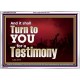 IT SHALL TURN TO YOU FOR A TESTIMONY  Inspirational Bible Verse Acrylic Frame  GWARMOUR10339  