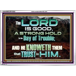 TRY HIM THE LORD IS GOOD ALL THE TIME  Ultimate Power Picture  GWARMOUR10383  "18X12"