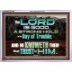 TRY HIM THE LORD IS GOOD ALL THE TIME  Ultimate Power Picture  GWARMOUR10383  