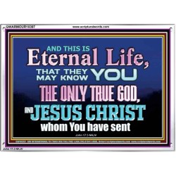 CHRIST JESUS THE ONLY WAY TO ETERNAL LIFE  Sanctuary Wall Acrylic Frame  GWARMOUR10397  "18X12"